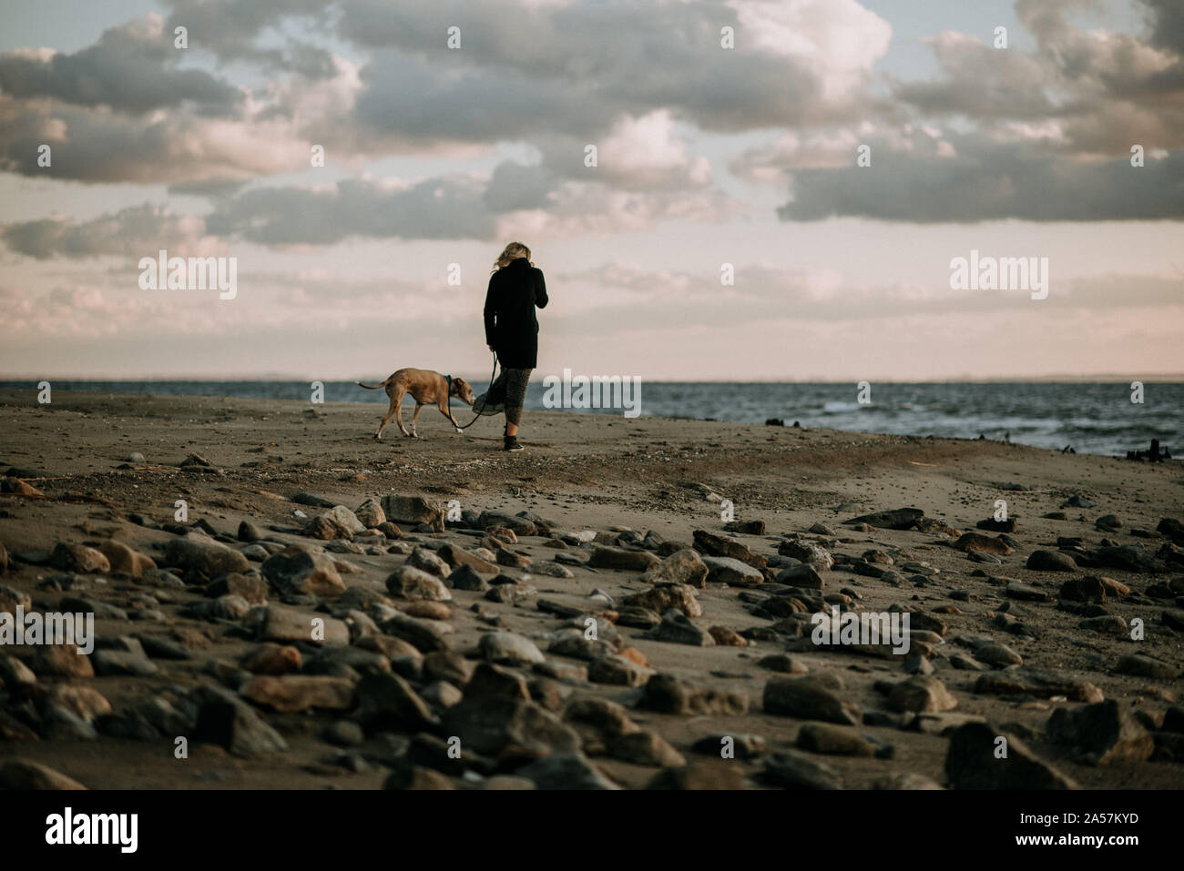 Woman walking dog sur la plage au coucher du soleil Banque D'Images