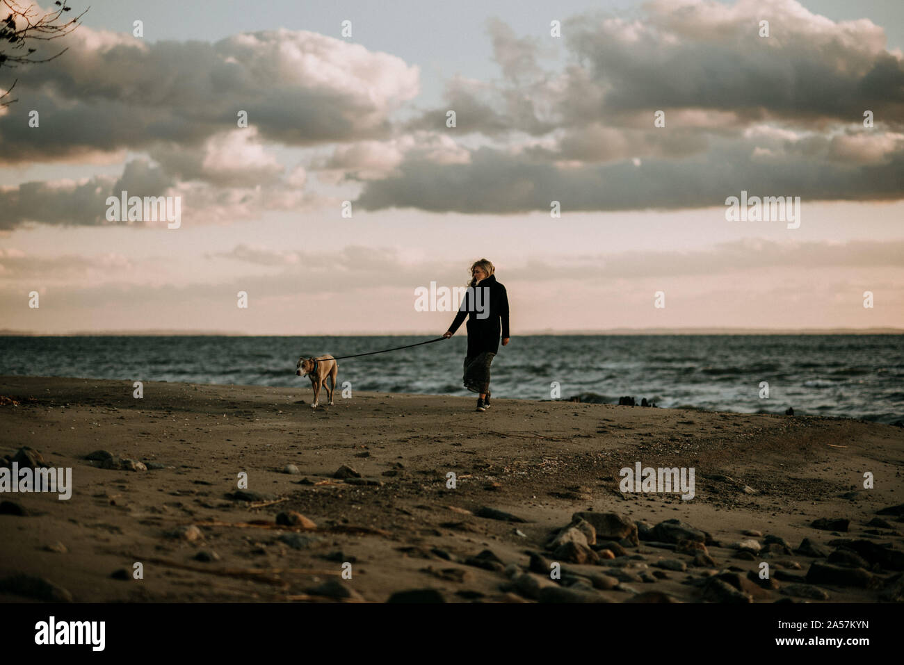 Woman walking dog au crépuscule sur la plage Banque D'Images