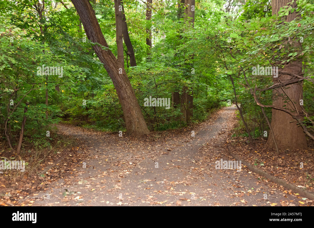 La fourche de la route. Banque D'Images