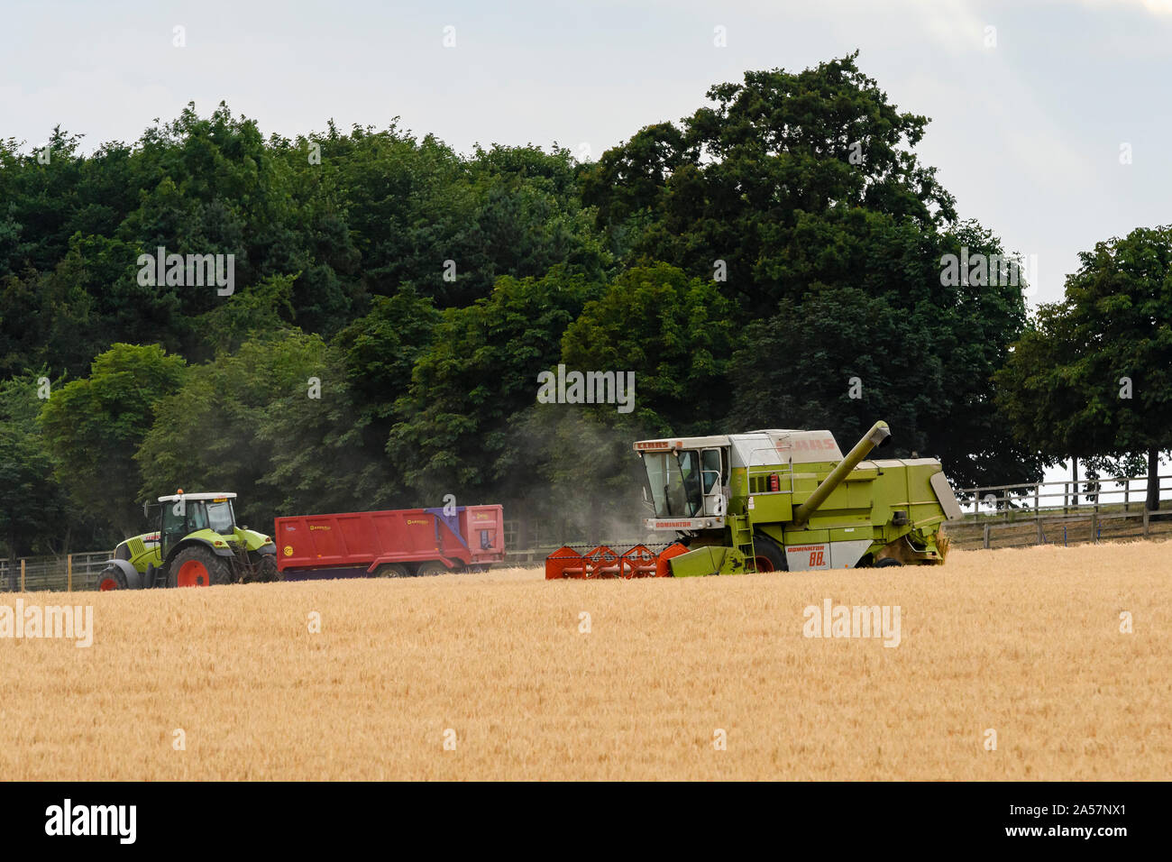 2 produits agricoles machines agricoles (moissonneuse-batteuse, tracteur et remorque Remorquage) occupé à travailler ensemble dans le champ de blé à la récolte - France, FR, UK. Banque D'Images