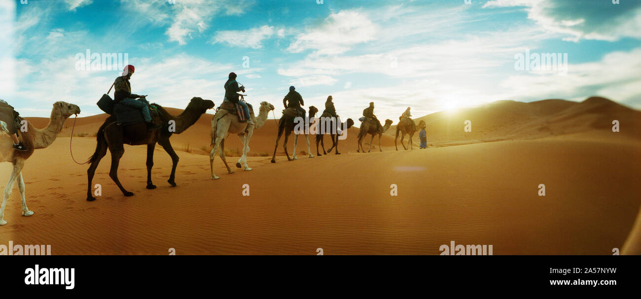 Les touristes chameaux à travers le Sahara désert paysage mené par un homme berbère, Maroc Banque D'Images