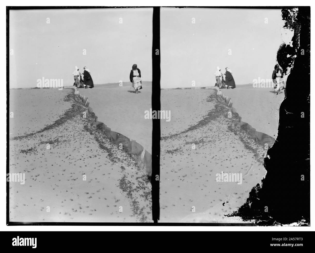 Mur pour arrêter locust Banque D'Images