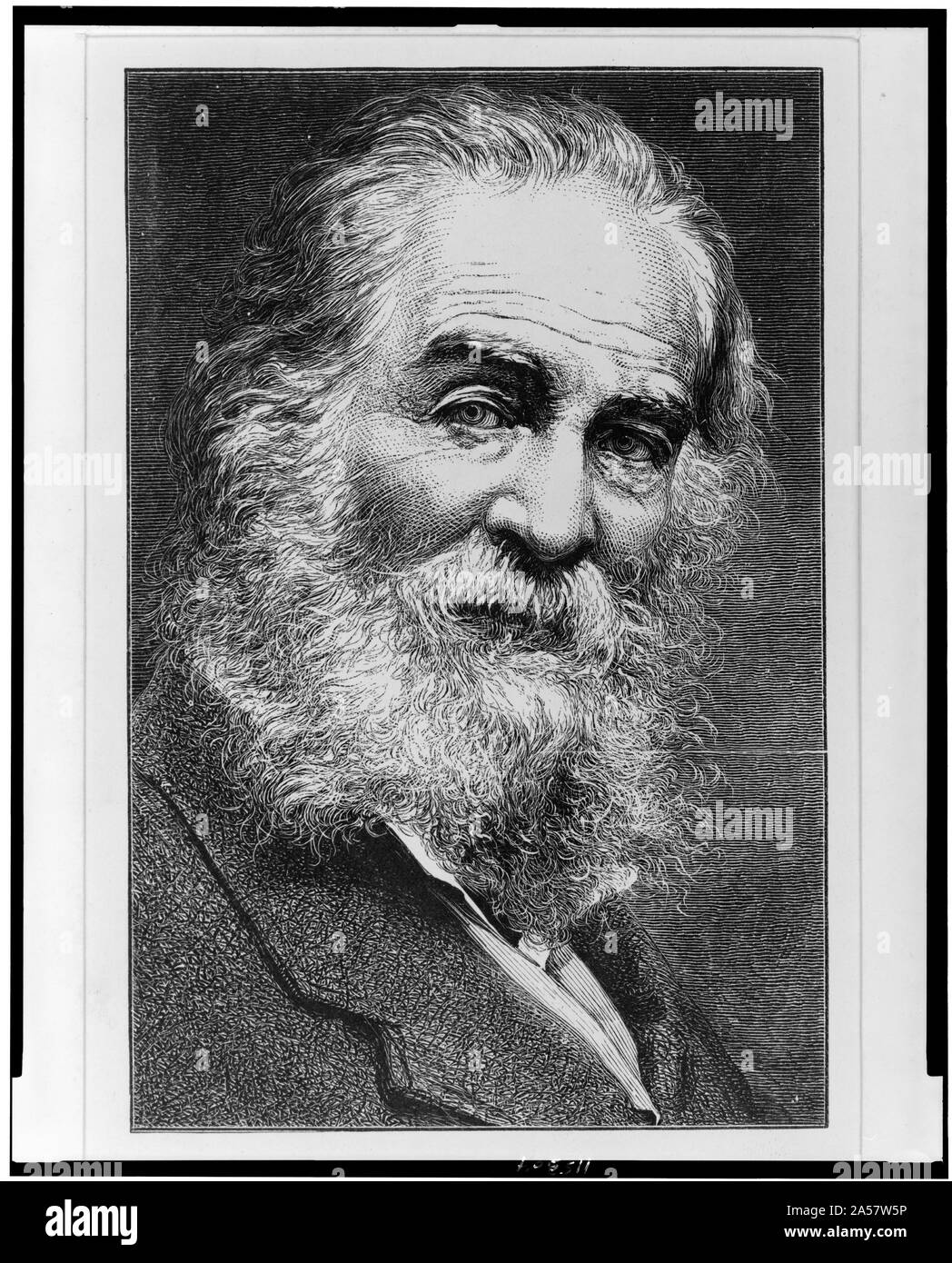 Walt Whitman comme un vieil homme, tête-et-épaules portrait, faisant face à droite Banque D'Images
