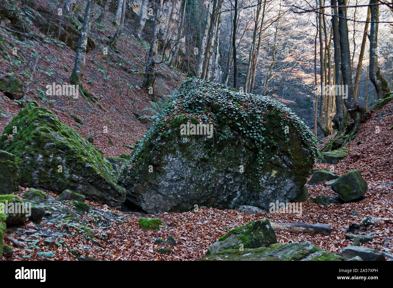 Vue d'automne vers le labyrinthe de la Balkan Teteven avec des pics élevés, glade, deux grosses pierres moussues et la forêt de feuillus, Stara Planina, Bulgarie Banque D'Images