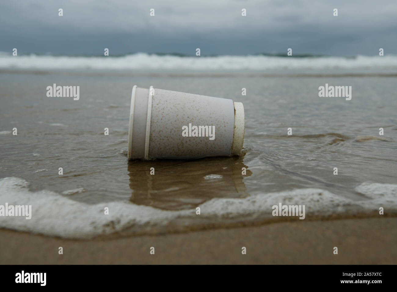 Durban, Afrique du Sud, l'eau de mer potable jetables laver cup sur beach, pollution, sortir, usage unique, Close up, détritus, in situ Banque D'Images