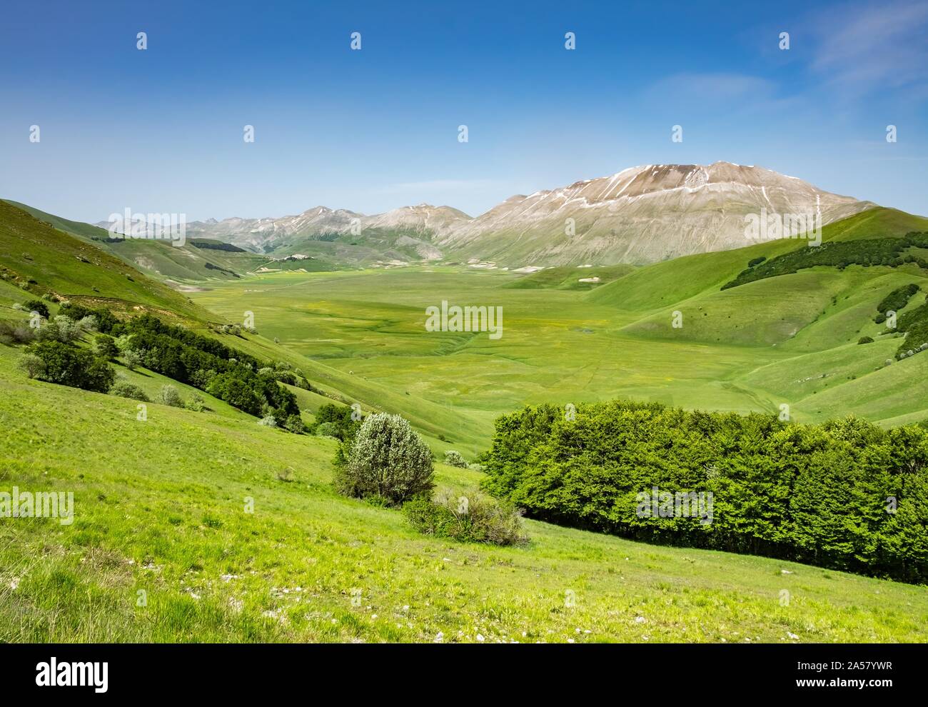 Paysage, Piano Grande, Castelluccio, Norcia, parc national Monti Sibillini, Apennins, Ombrie, Italie Banque D'Images