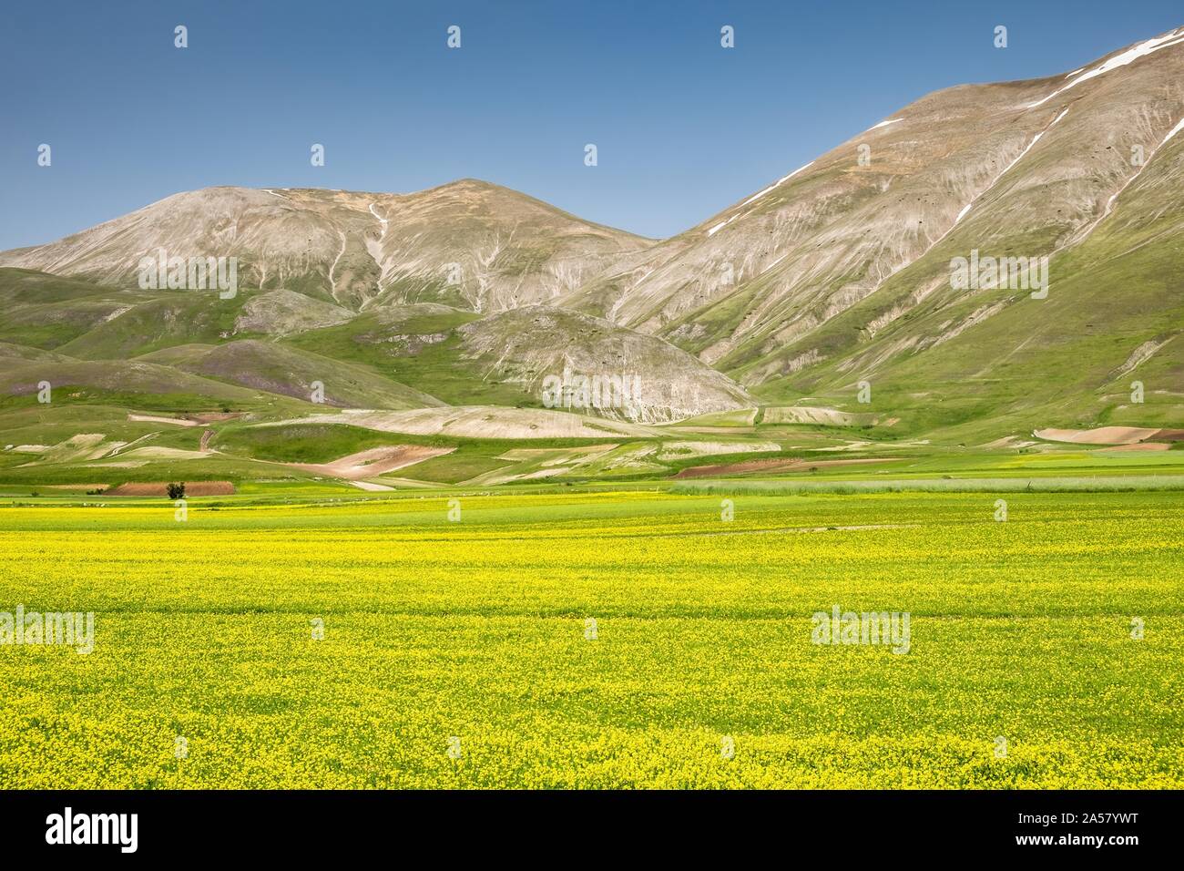 Paysage, Piano Grande, Castelluccio, Norcia, parc national Monti Sibillini, Apennins, Ombrie, Italie Banque D'Images