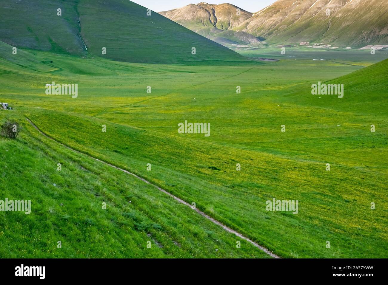 Sentier de randonnée pédestre dans la campagne, Piano Grande, Castelluccio, Norcia, parc national Monti Sibillini, Apennins, Ombrie, Italie Banque D'Images