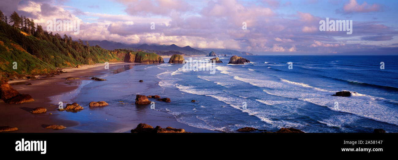 Vue panoramique de la côte, Canon Beach, Oregon, USA Banque D'Images