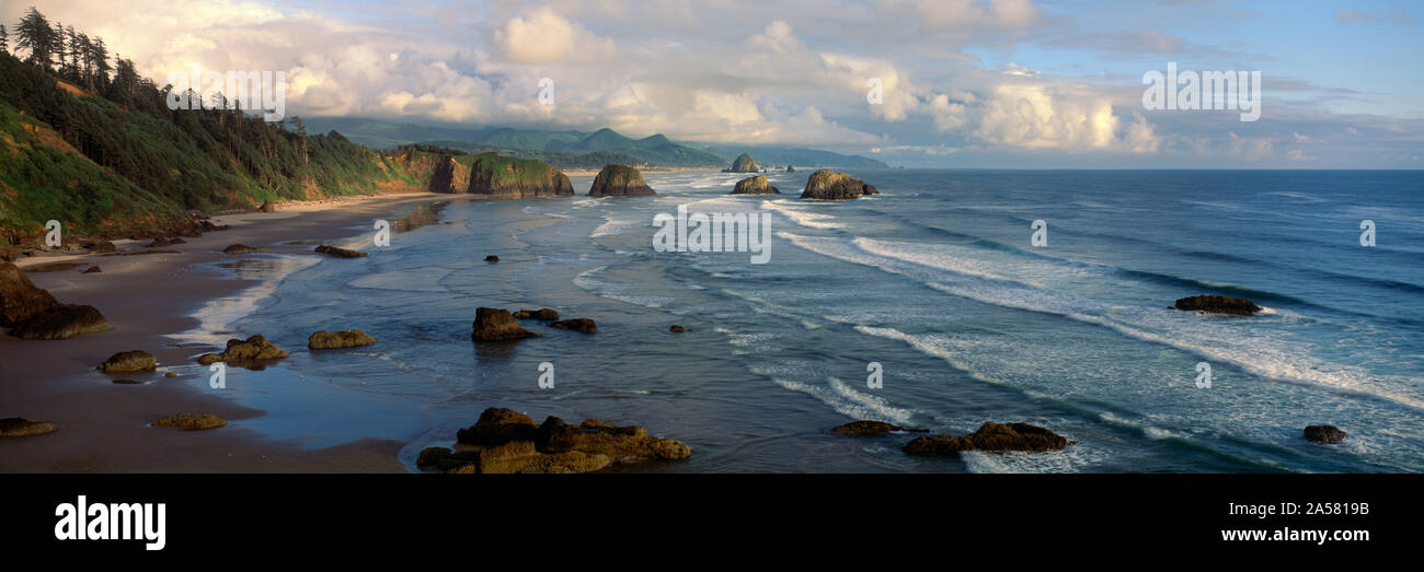 Vue panoramique de plage, Cannon Beach, Oregon, USA Banque D'Images