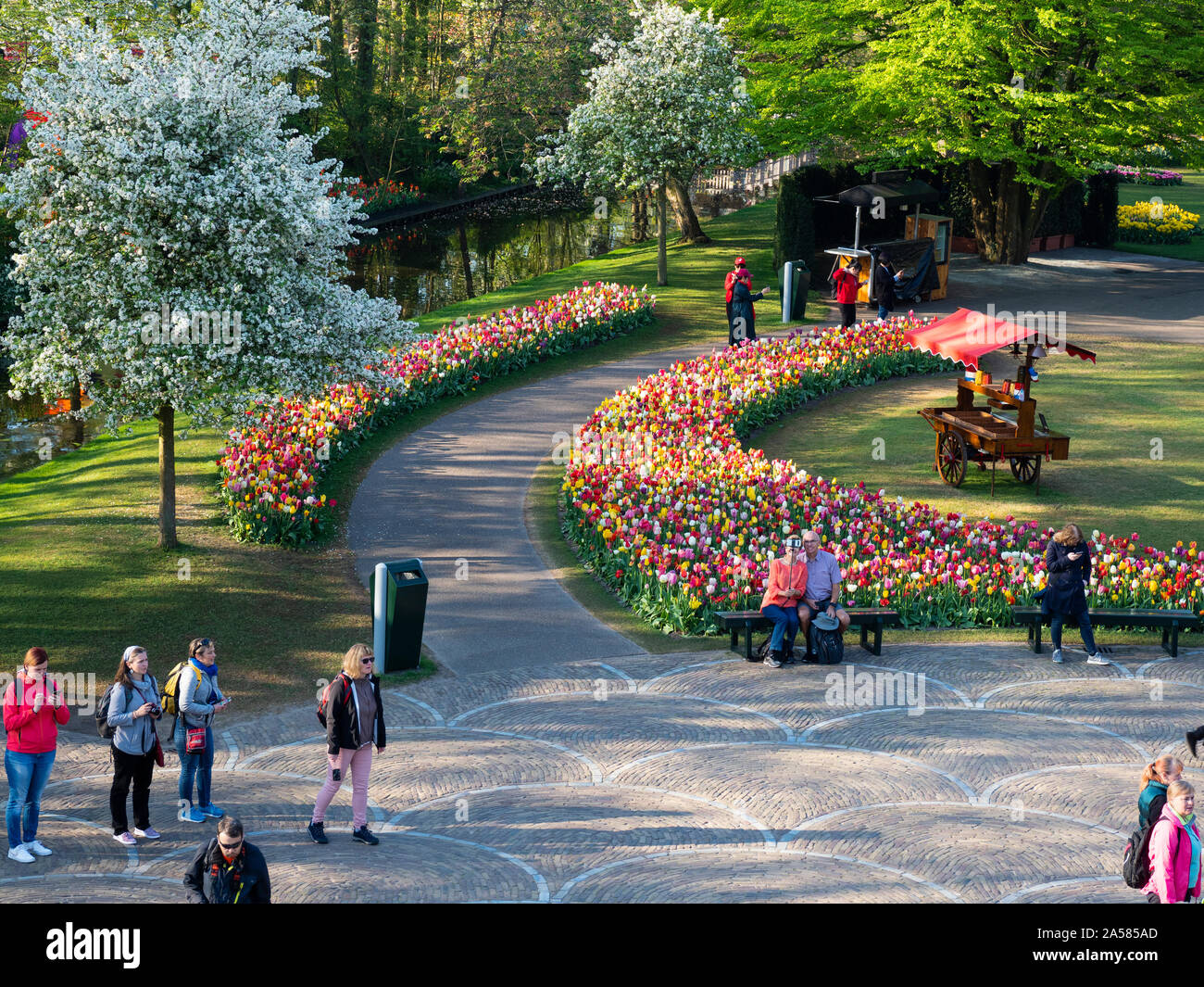 Paysage avec parterres de tulipes le long sentier dans les jardins de Keukenhof, Lisse, Hollande méridionale, Pays-Bas Banque D'Images