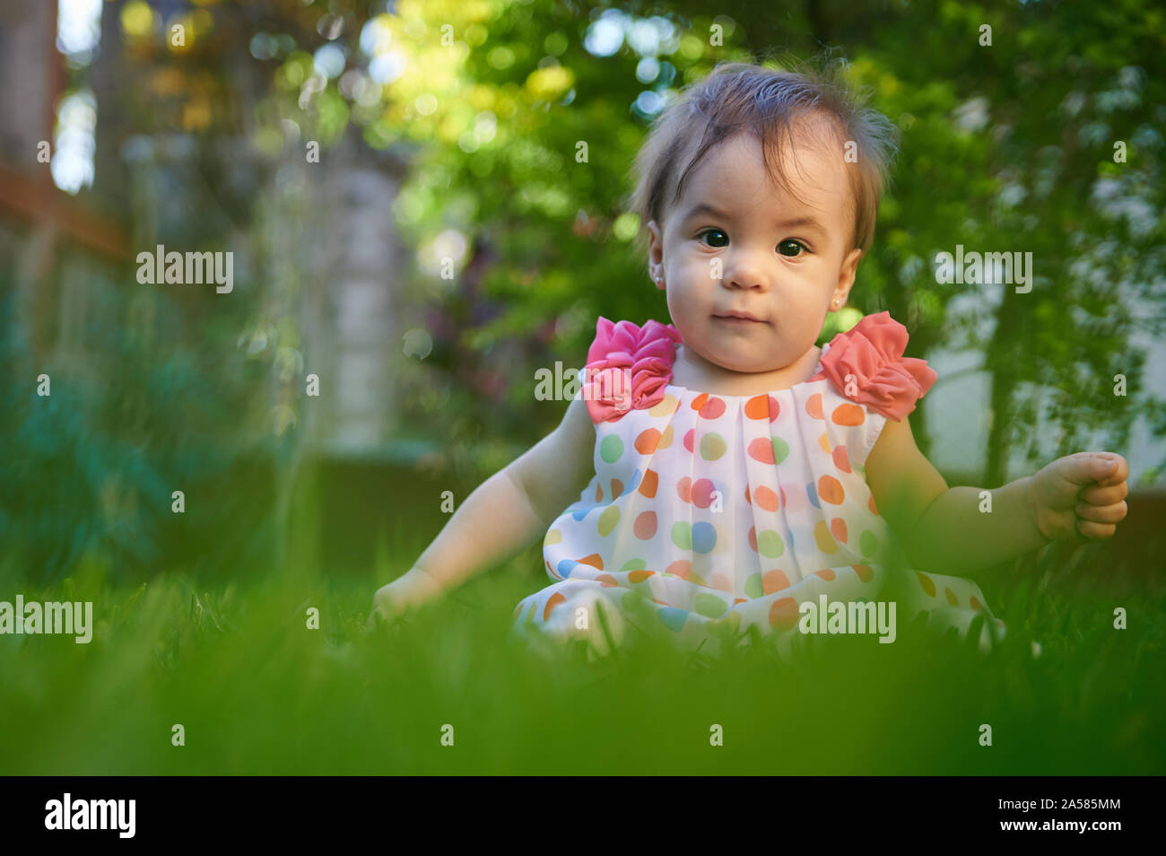 Joli bébé sur champ d'été. Portrait of cute child Banque D'Images
