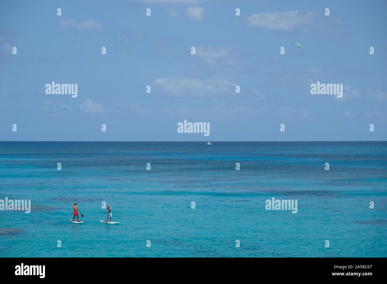 Paddle près de Church Bay, aux Bermudes. Banque D'Images