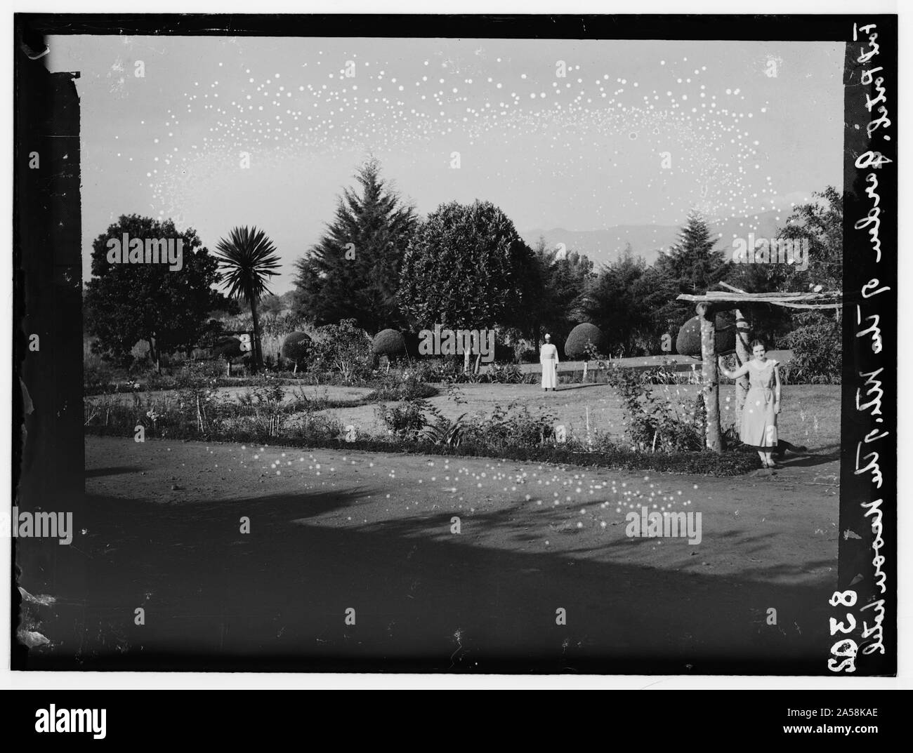 L'Ouganda. De Hoima à Fort Portal. Jardin de la montagne de l'hôtel Moon Banque D'Images