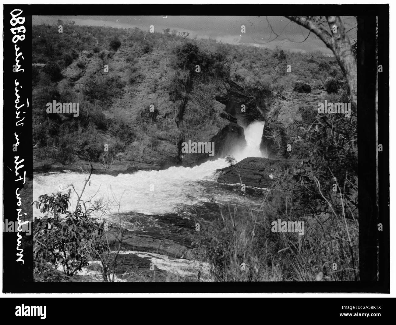 L'Ouganda. Victoria Nil. Murchison Falls. Une vue de dessous Banque D'Images