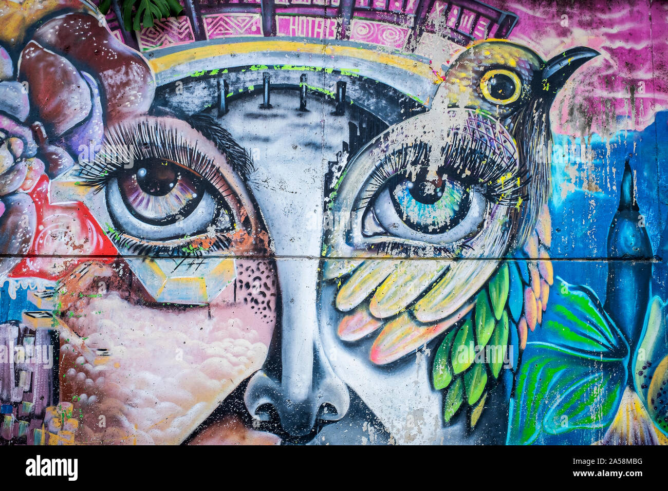 Street art, peinture murale, graffiti, Comuna 13, Medellín, Colombie Banque D'Images