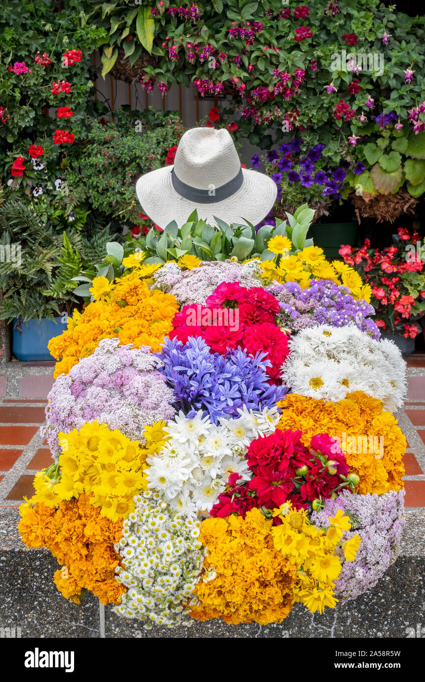 Silletero fleur, agriculteur, Finca, silletera, ferme, Vereda Barro Blanco, secteur El Rosario, Medellín, Colombie Banque D'Images