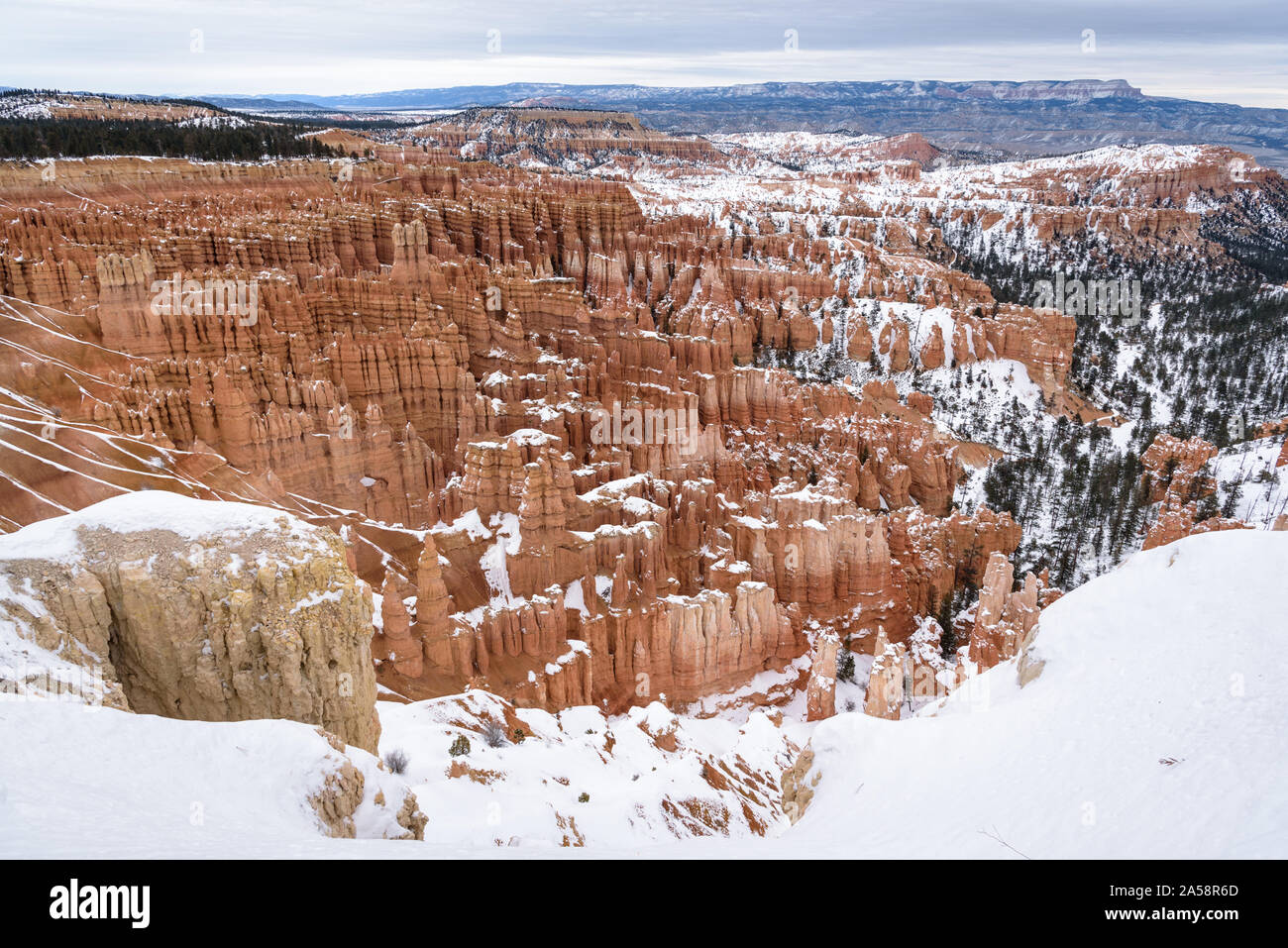De belles montagnes couvertes de neige pendant la période d'hiver dans le Parc National de Bryce Canyon, Utah, États-Unis d'Amérique Banque D'Images