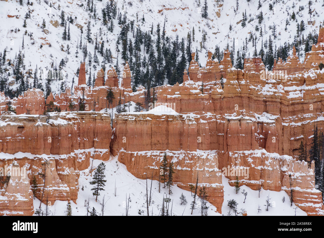 De belles montagnes couvertes de neige pendant la période d'hiver dans le Parc National de Bryce Canyon, Utah, États-Unis d'Amérique Banque D'Images