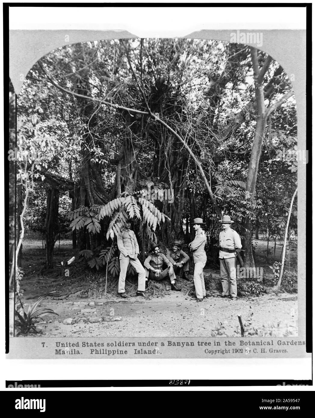 Soldats américains sous un arbre banian dans les jardins botaniques, Manille, Philippines Banque D'Images