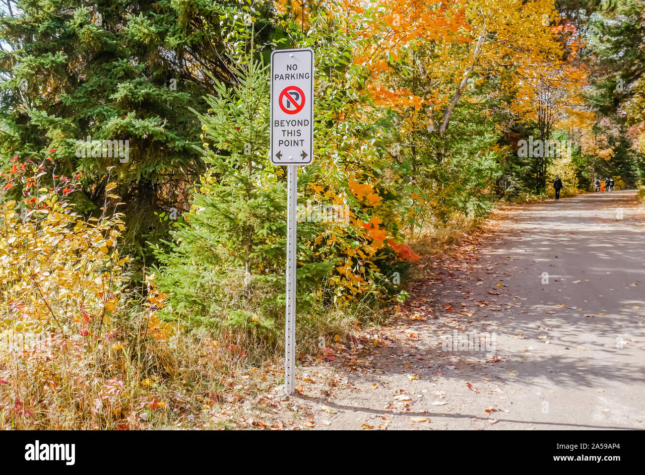 No parking sign on the road Banque D'Images
