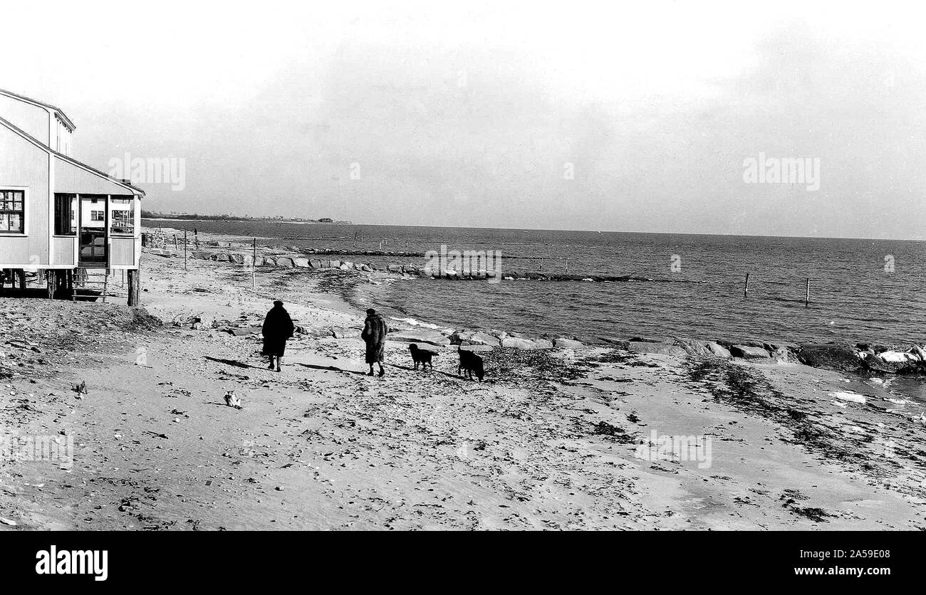 Cette photographie représente deux femmes marchant avec leurs chiens sur la berge à Hawkes Nest Beach de Old Lyme, Connecticut près de les jetées. 1942 Banque D'Images