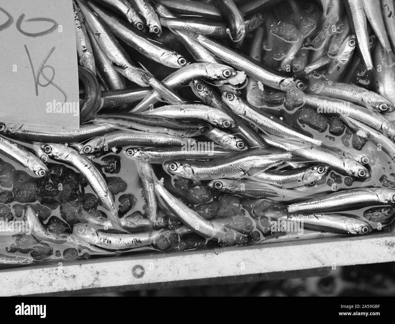 Les poissons exposés à Medterranean seamarket ouvert, Naples Banque D'Images