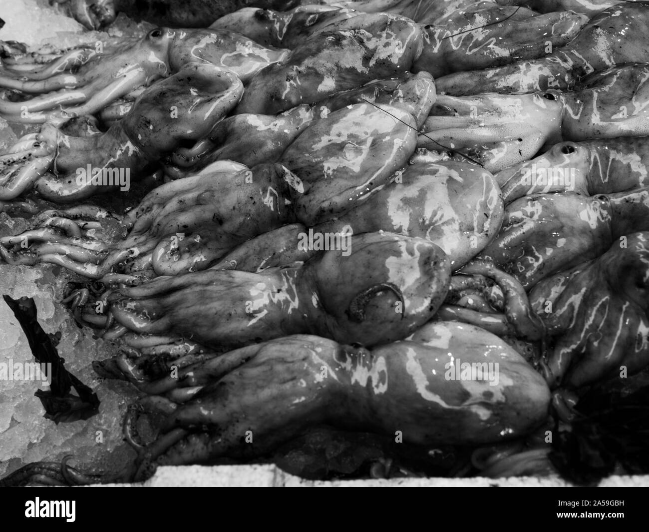 Les poissons exposés à Medterranean seamarket ouvert, Naples Banque D'Images