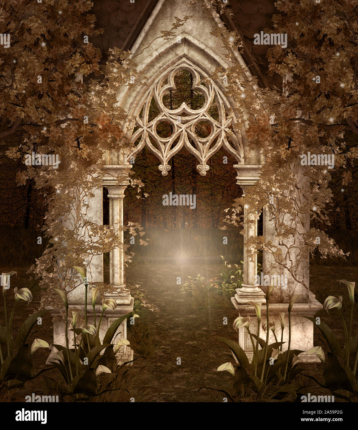 Passage enchantée dans la forêt Banque D'Images