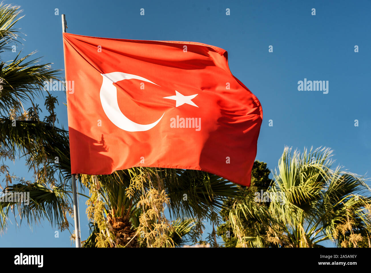 Drapeau national de la Turquie et le palmier vert contre le ciel bleu clair Banque D'Images