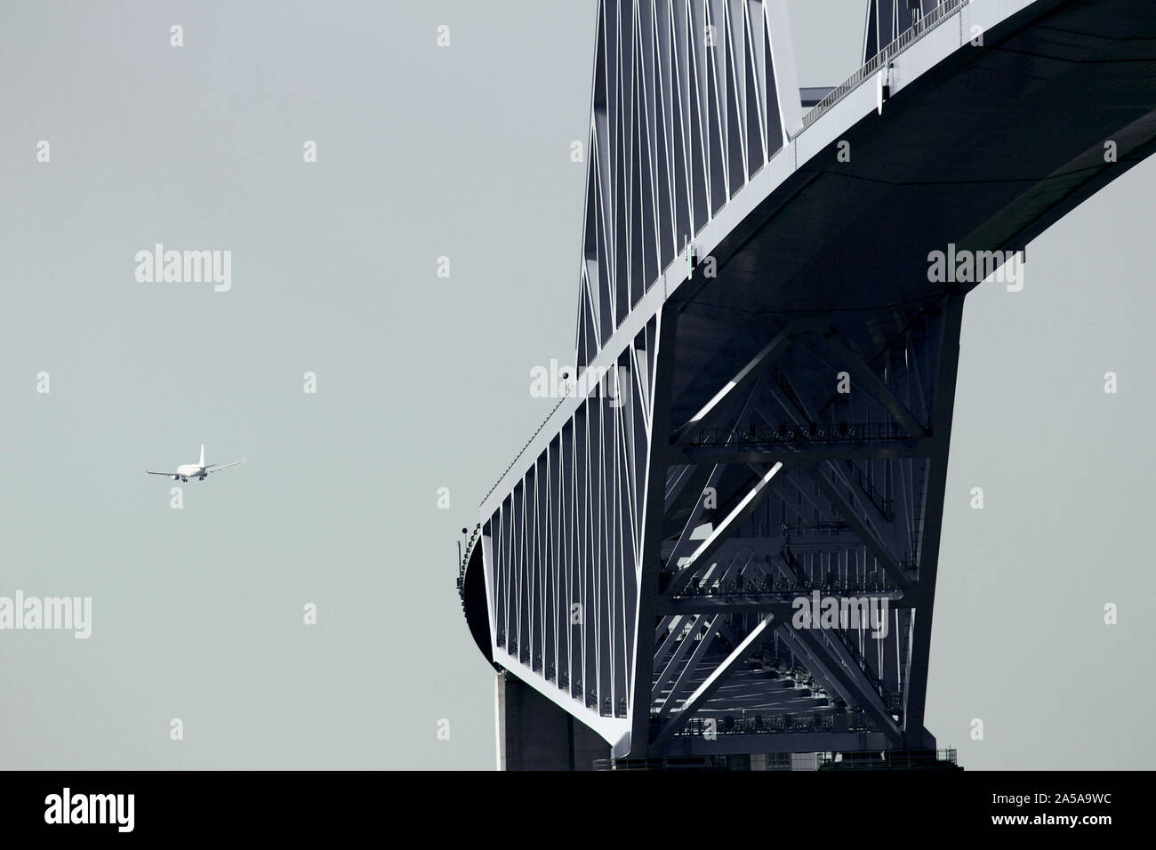 Tokyo Gate Bridge et jetliner Banque D'Images