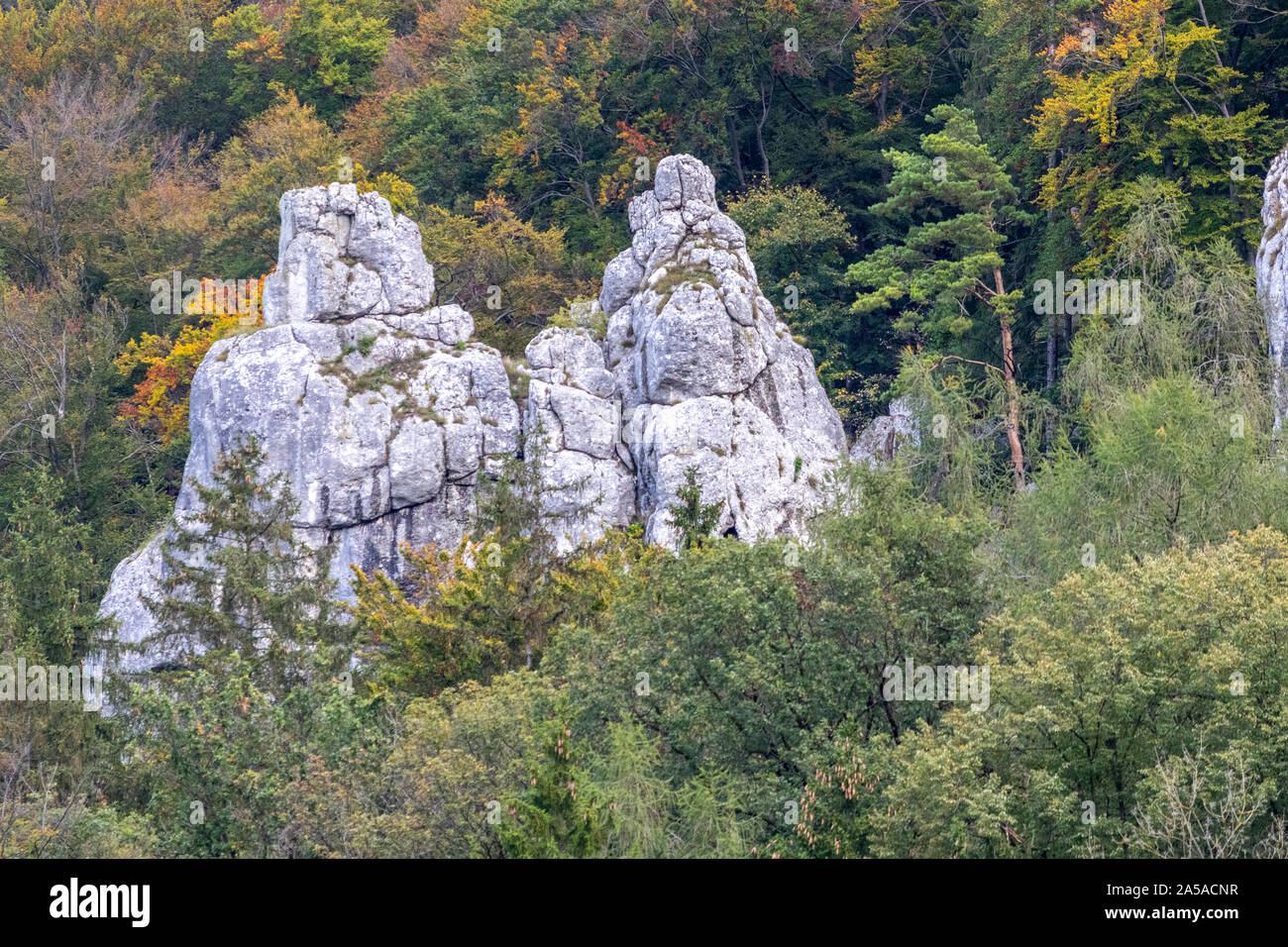 Formations Rock appelé Pierre et Paul à percée du Danube près de Kelheim, Bavière, Allemagne Banque D'Images