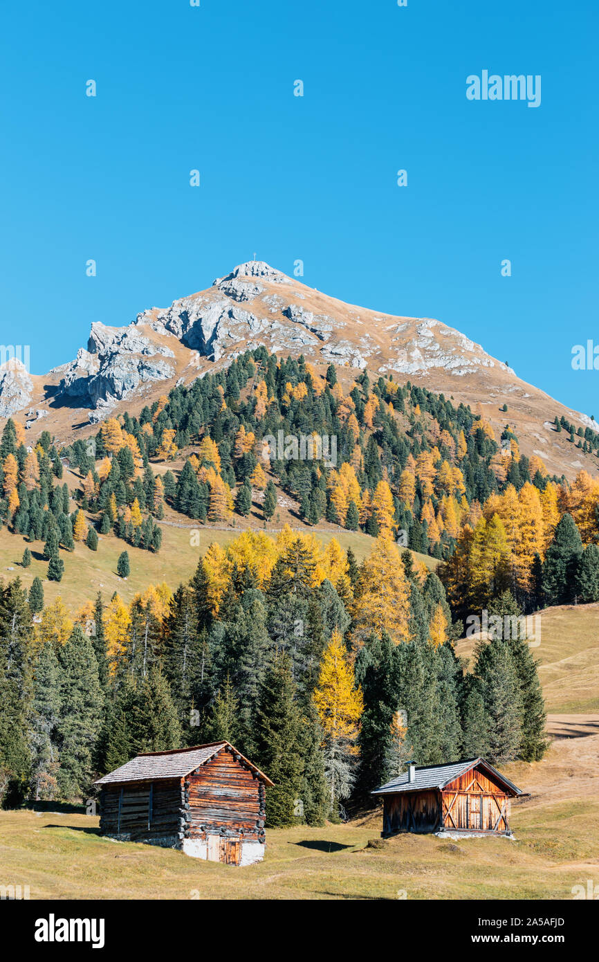 Paysage d'automne dans les Dolomites Alpes, Trentin-Haut-Adige, Italie. Banque D'Images