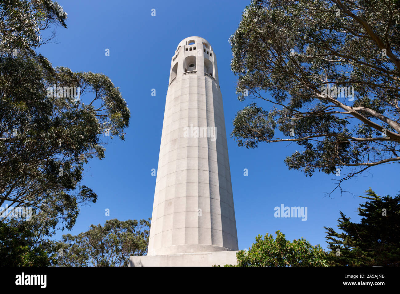 La Coit Tower et les arbres environnants sur Telegraph Hill , San Francisco. Banque D'Images