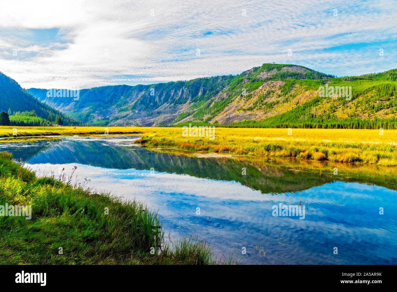 La vallée de la rivière qui traverse les champs d'herbe jaune doré avec ses montagnes couvertes de forêts sous ciel nuageux avec un bleu lumineux. En raison de l'eau. Banque D'Images