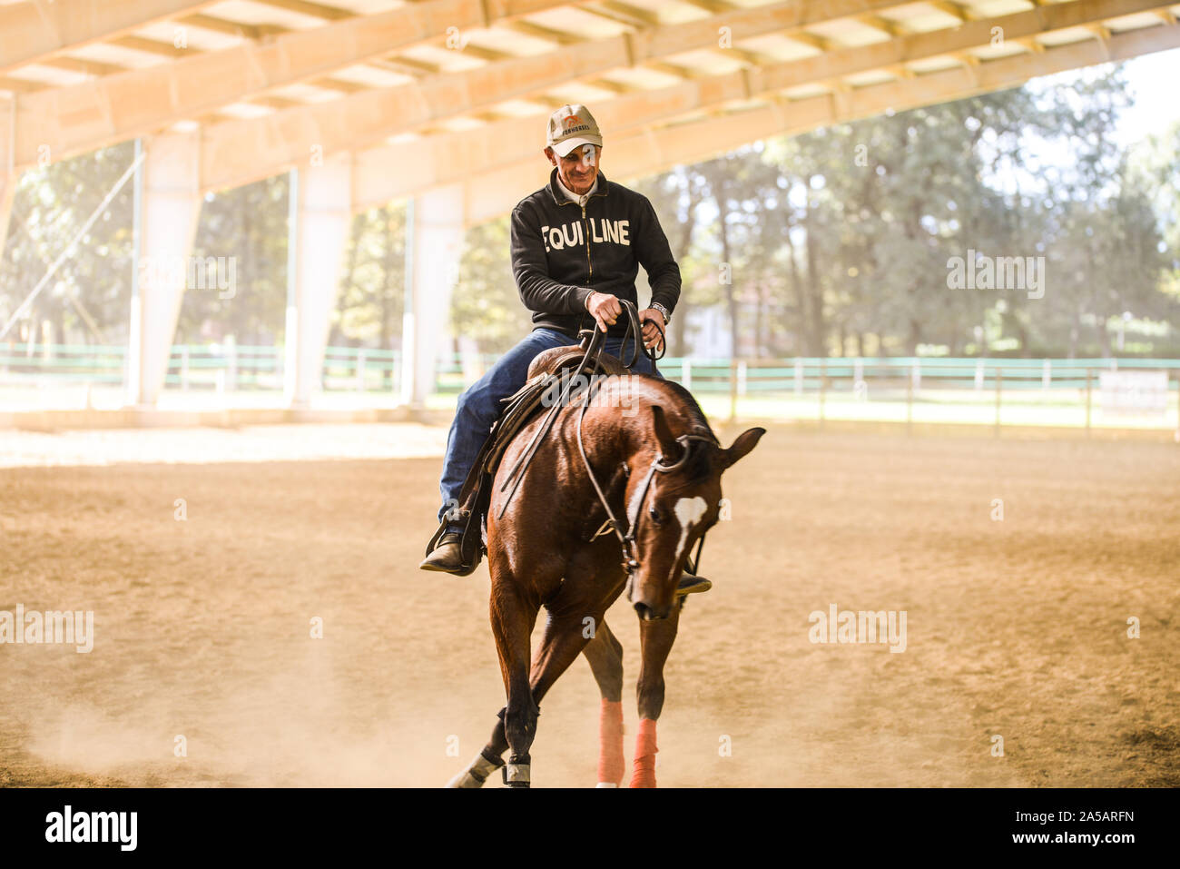 Quarter Horse Training, Boca, Novara, Italie Banque D'Images