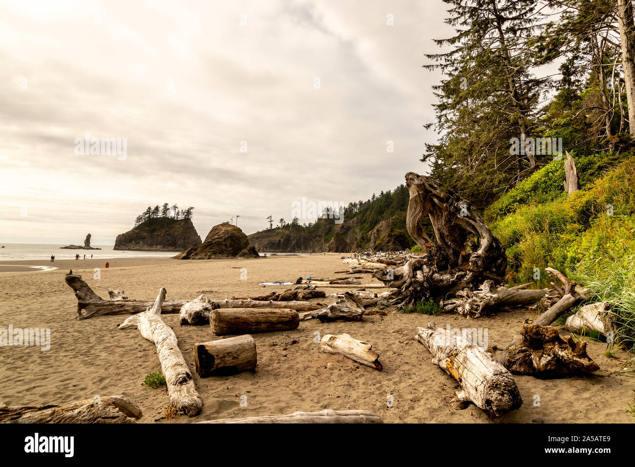 Fourches et olympique Parc national deuxième plage La push Banque D'Images