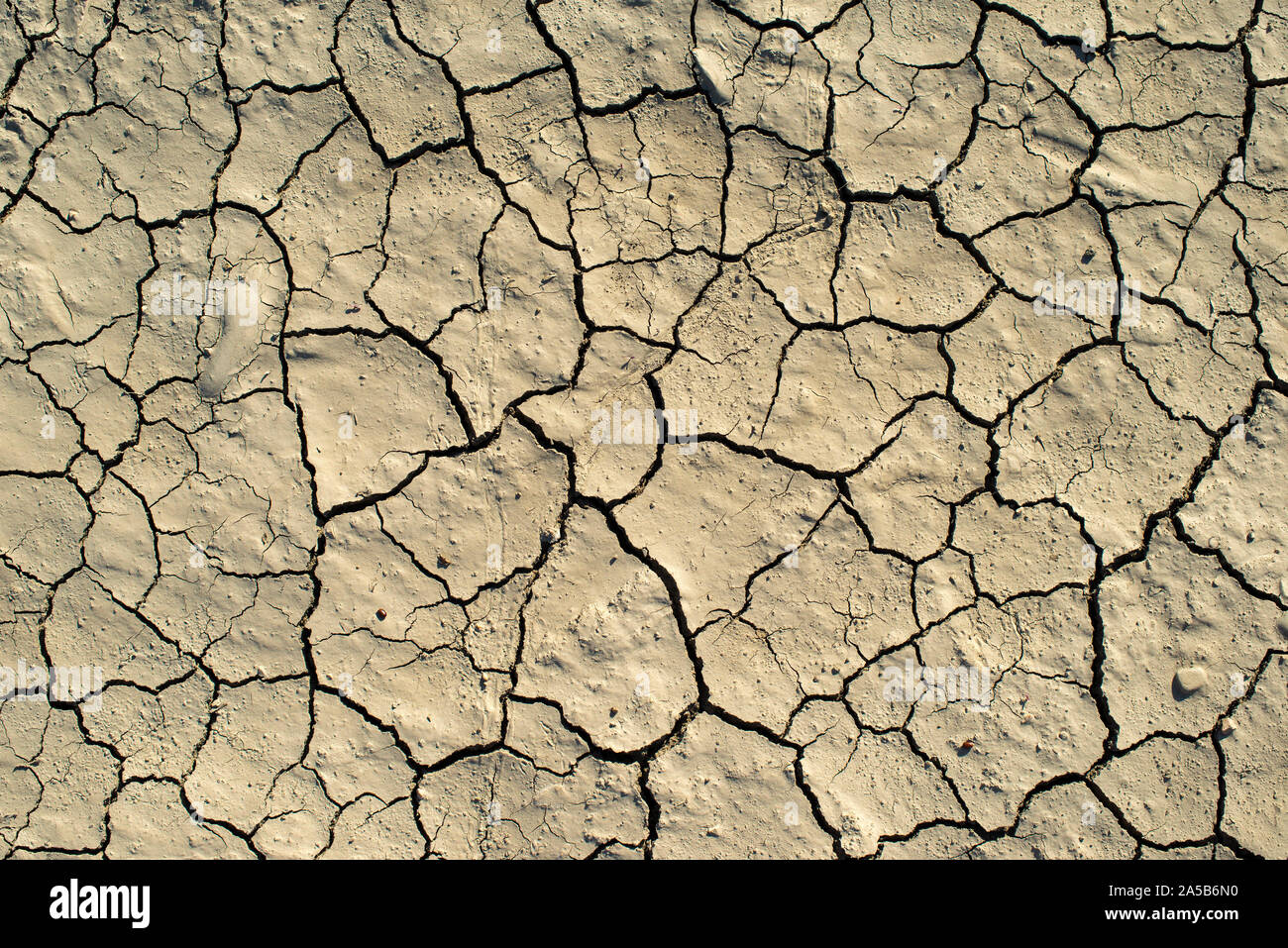 La texture du sol fissuré. Soleil et ombre dure. La masse sèche. Modèle de beaucoup de fissures pour l'arrière plan. Banque D'Images