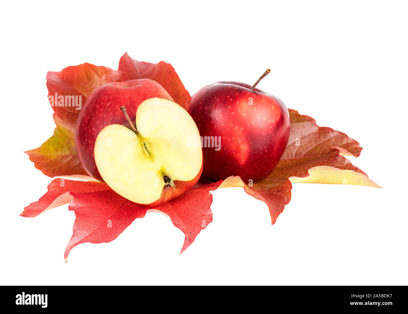 Pommes rouges lumineuses sur des feuilles d'automne sur fond blanc Banque D'Images Pommes rouges lumineuses sur des feuilles d'automne sur fond blanc Banque D'Images