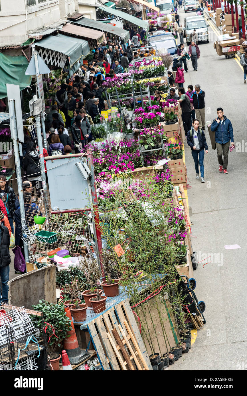 Les gens magasinent pour plantes à fleurs dans le marché de la fleur de Mong Kok, Kowloon, Hong Kong. Banque D'Images