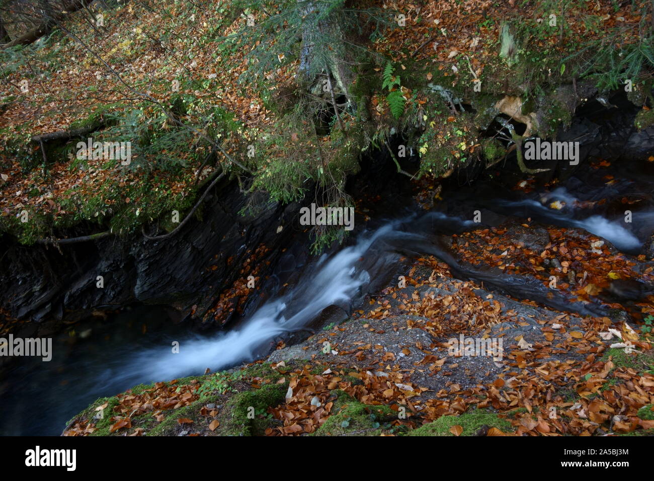 Se précipitant dans le ruisseau de montagne, paysage d'automne Banque D'Images