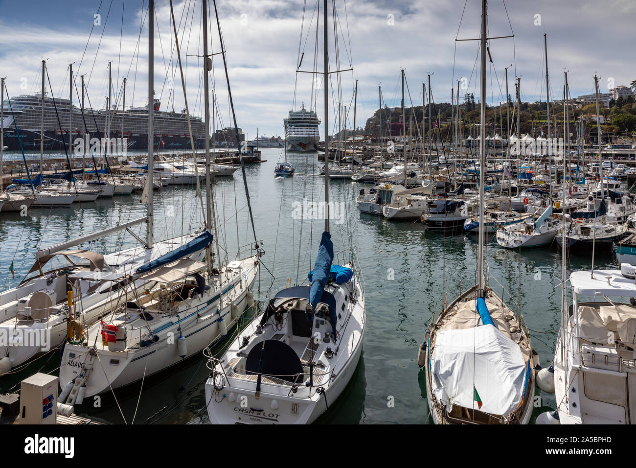 Les navires de croisière et les yachts dans le port de Funchal, Madeira, Portugal Banque D'Images