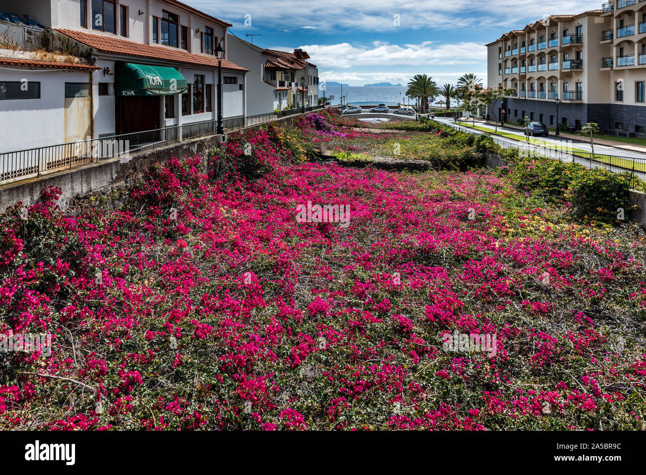 Des fleurs colorées qui mènent à la promenade à Santa Cruz, Madeira, Portugal Banque D'Images