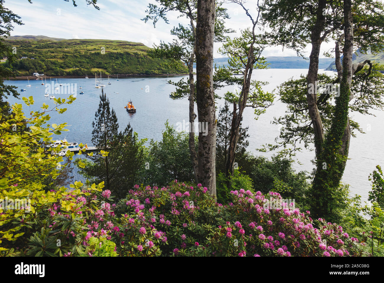 Fleurs, arbres en fleurs et le Loch Portree, vu de la piste de marche autour de la bosse, une colline sur le bord de Portree township, Ecosse, Royaume-Uni. Banque D'Images