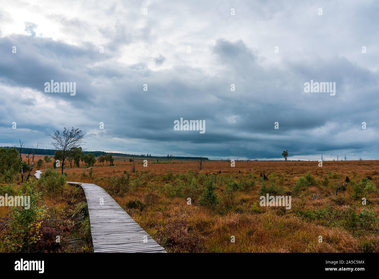 Panorama des Hautes Fagnes, dans l'automne, la Belgique. Banque D'Images