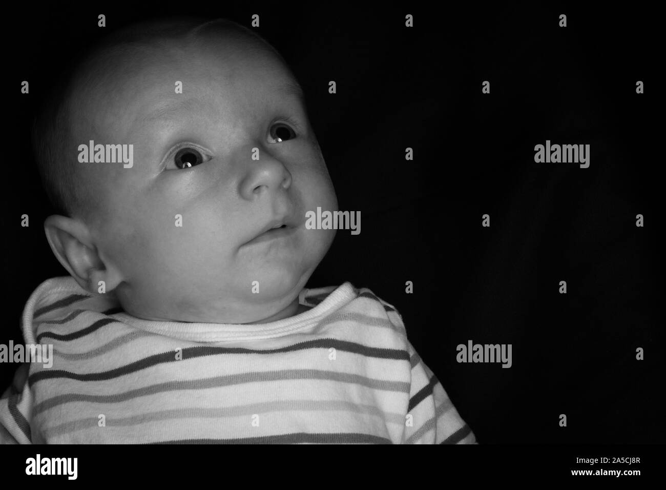 Un Bebe De 2 Mois Pose Sur Un Fond Noir Parfait Pour Les Memes Avec Copie Espace Photo Stock Alamy Un Bebe De 2 Mois Pose Sur Un Fond Noir Parfait Pour Les Memes Avec Copie Espace Photo Stock Alamy