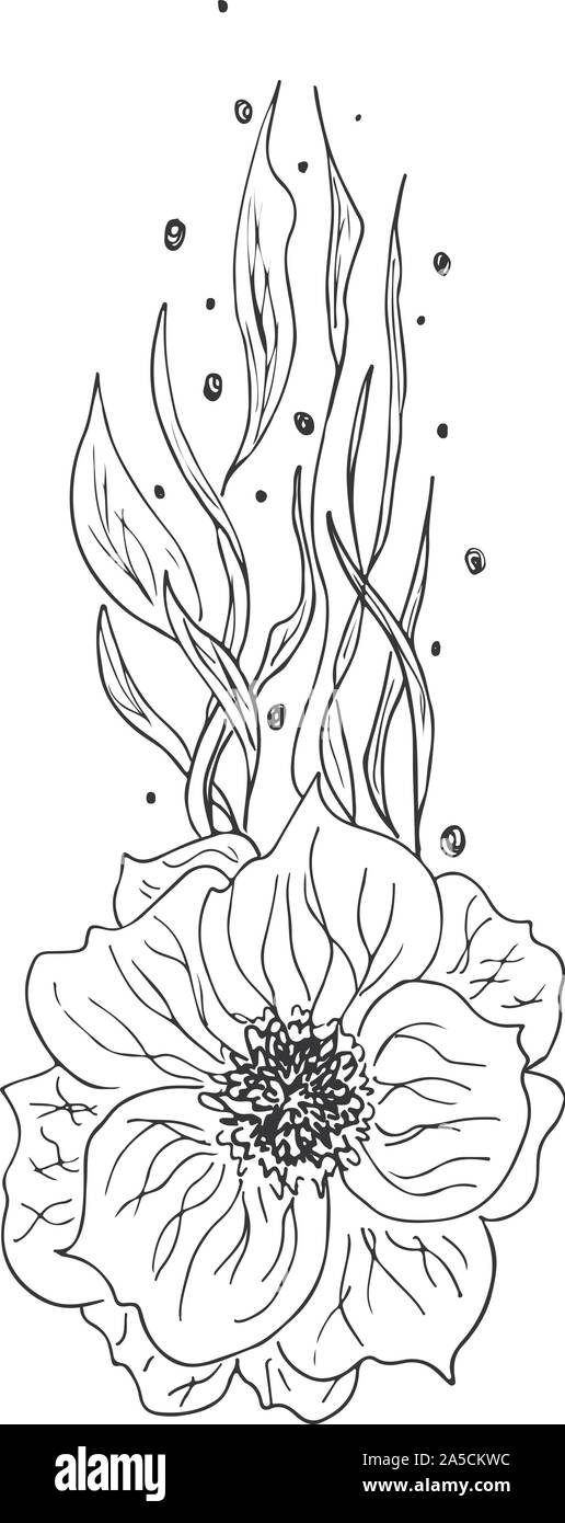 Dessinés à la main, gravée abstract orchid. Fleurs rétro contour main orchidée, grande conception pour tout usage. Contours vecteur. Arrière-plan de la nature. Scieries de pla Illustration de Vecteur