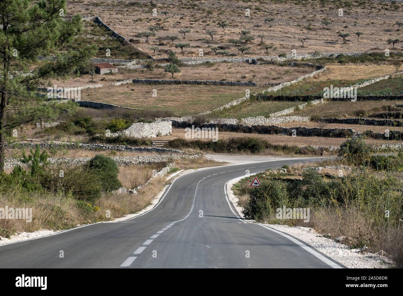 Bobinage vide chemin rural dans le nord du Portugal, Europe Banque D'Images