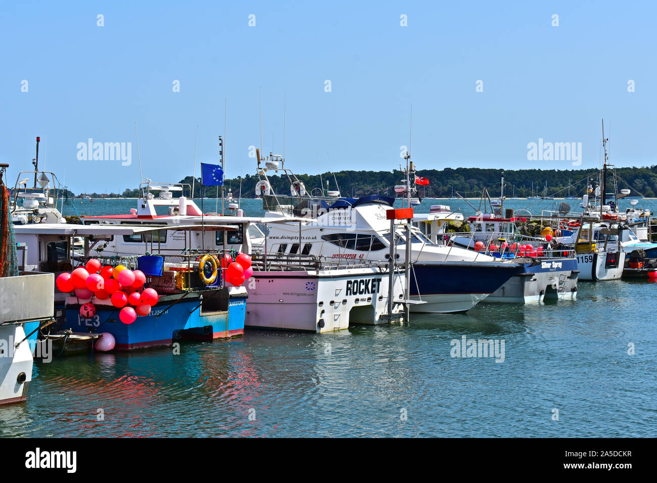 Un assortiment de plaisir projet de pêche et bateaux amarrés dans la sécurité de la Poole Quay Yacht Haven à l'intérieur du port. Banque D'Images