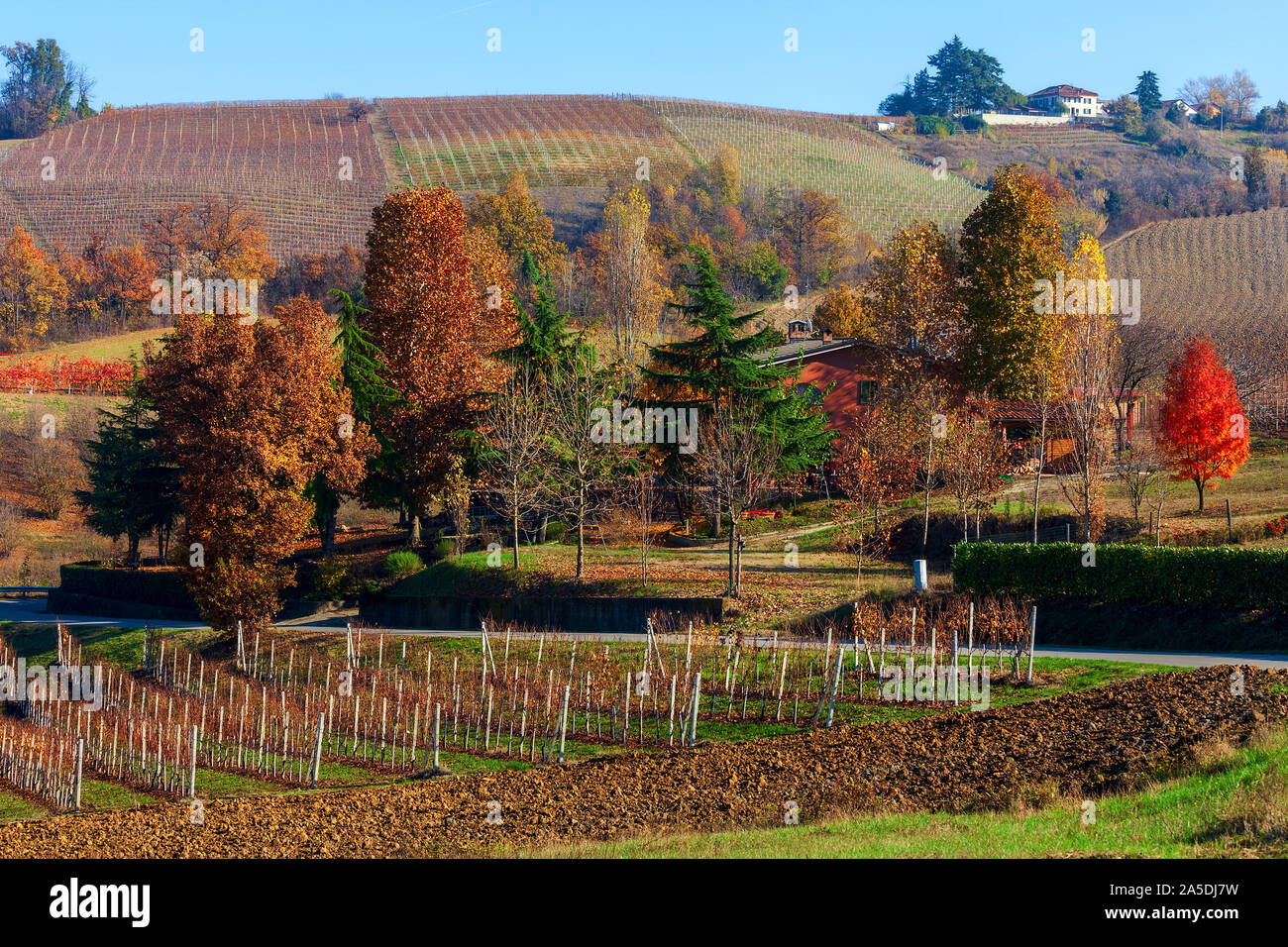Vue sur vignes et arbres d'automne colorés sur les collines du Piémont, Italie du Nord. Banque D'Images